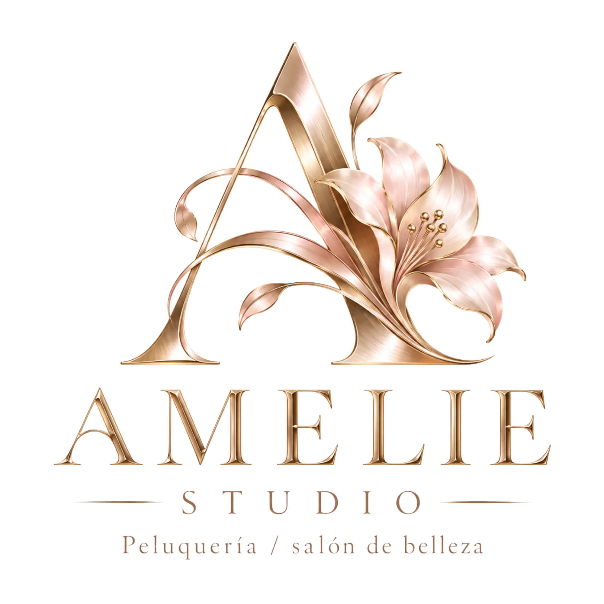 AMELIE Studio